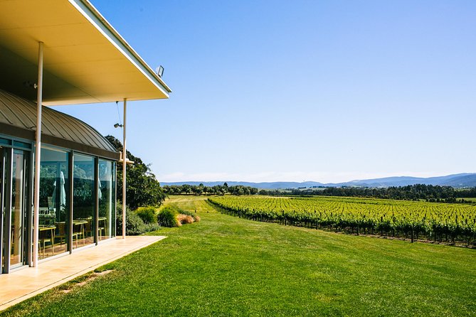 Yarra Valley Winery Tour From Melbourne With Gourmet Vineyard Lunch - thumb 0