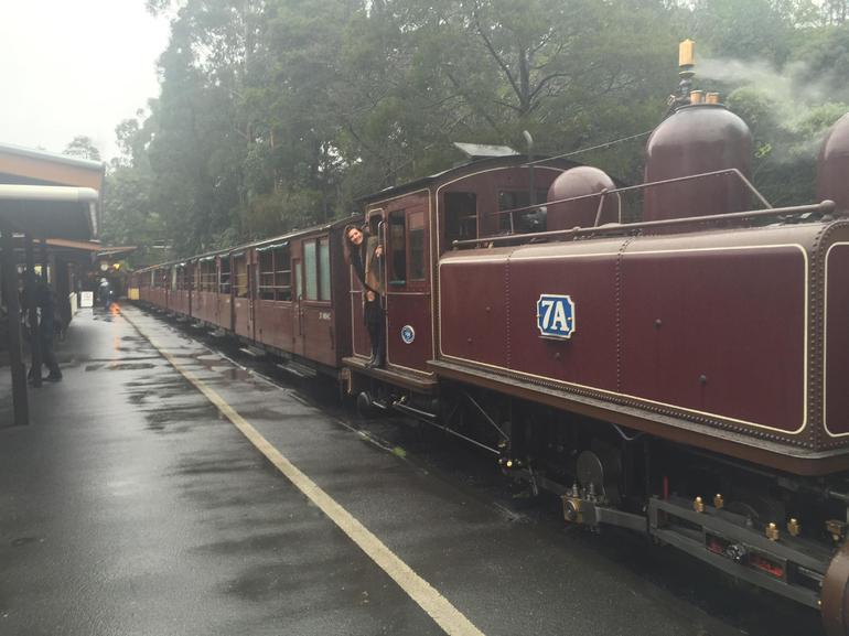 Puffing Billy, Moonlit Sanctuary & Penguins Day Tour - thumb 2