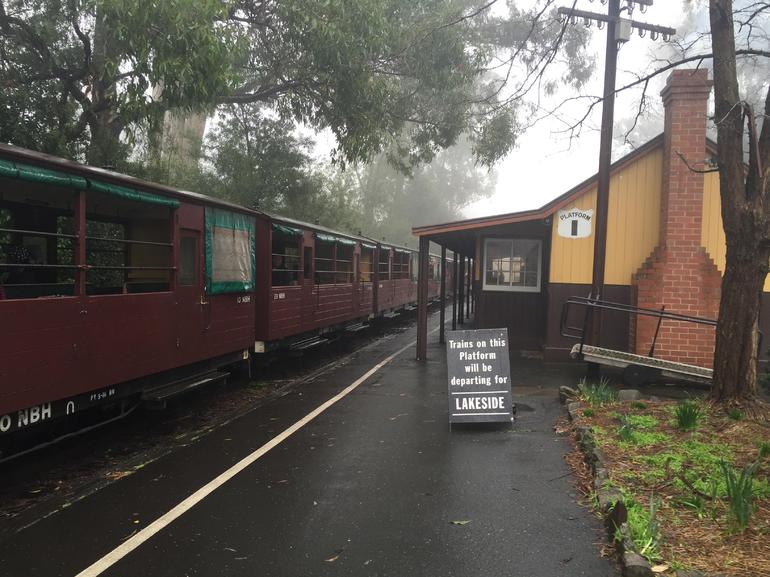 Puffing Billy, Moonlit Sanctuary & Penguins Day Tour - thumb 3
