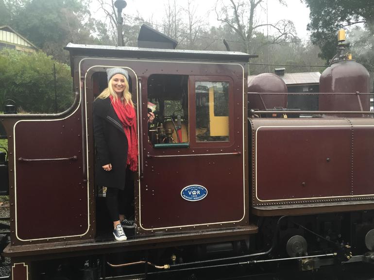 Puffing Billy, Moonlit Sanctuary & Penguins Day Tour - thumb 5