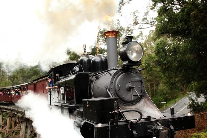 Puffing Billy, Moonlit Sanctuary & Penguins Day Tour - thumb 9