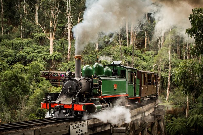 Puffing Billy, Moonlit Sanctuary & Penguins Day Tour - thumb 6