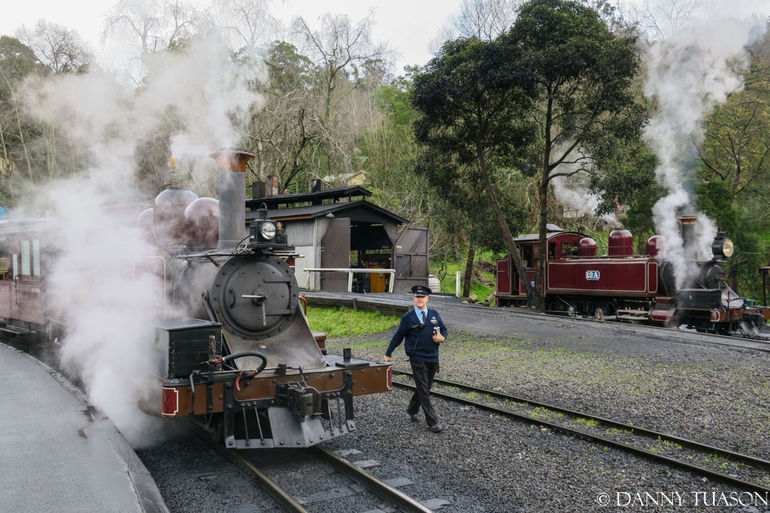 Puffing Billy Train With Optional Penguin Parade Or Melbourne City Tour - thumb 3