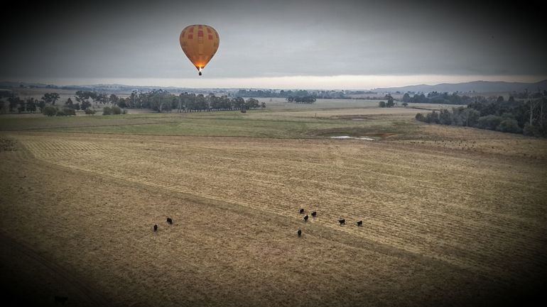 Yarra Valley Balloon Flight At Sunrise - thumb 18