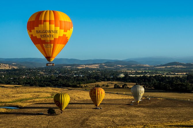 Yarra Valley Balloon Flight At Sunrise - thumb 41