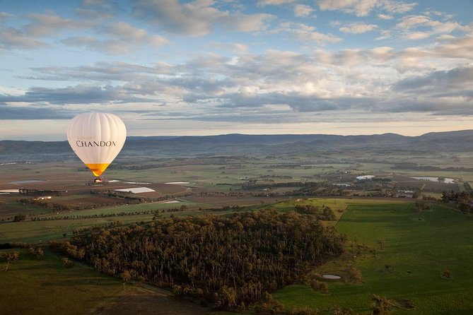 Yarra Valley Balloon Flight At Sunrise - thumb 30