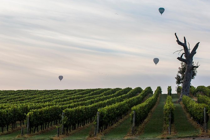 Yarra Valley Balloon Flight At Sunrise - thumb 37