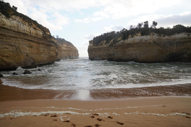 Full-Day Great Ocean Road And 12 Apostles Sunset Tour From Melbourne - thumb 5