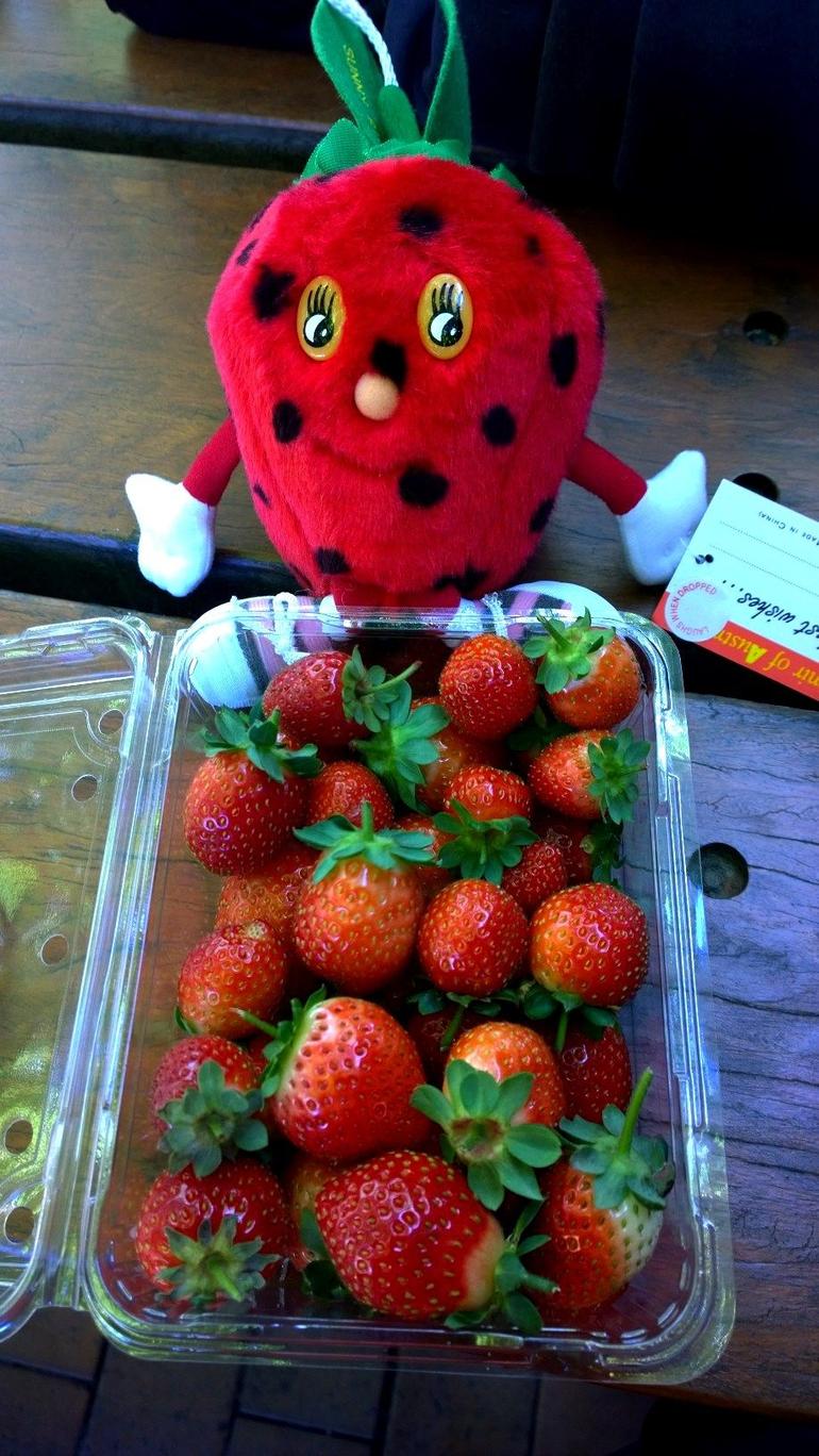 Mornington Peninsula Including Strawberry Farm Day Tour From Melbourne - thumb 6
