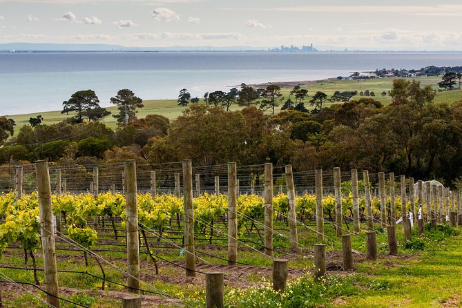 Bellarine Peninsula Small Group Wine Tour With 2 Course Lunch And Morning Tea - thumb 0
