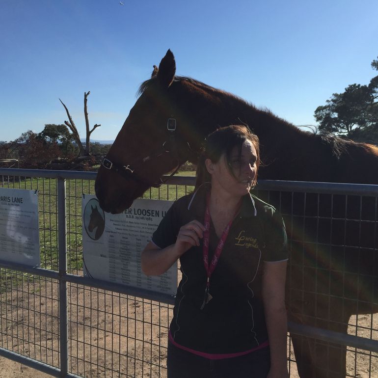 Champion Racehorse Tour With Beer And Wine Tasting - thumb 4