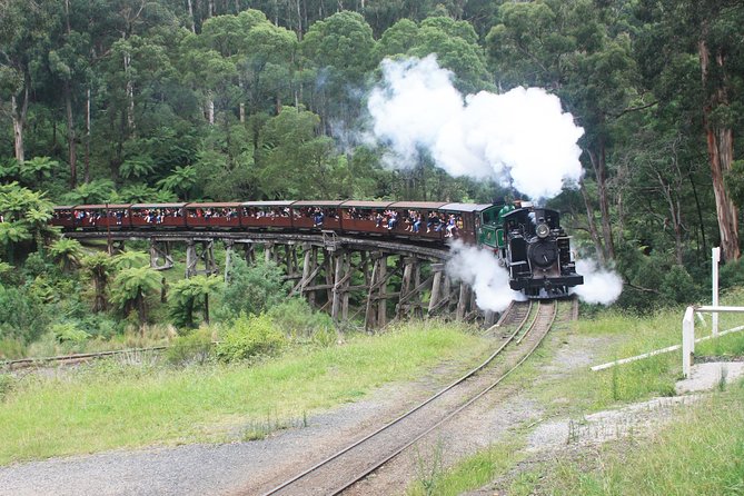 Puffing Billy (Dandenong Ranges & Brighton Bathing Boxes ) Experience - thumb 0