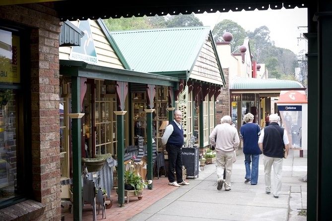 Private Dandenong Ranges Tour Including Puffing Billy - thumb 3