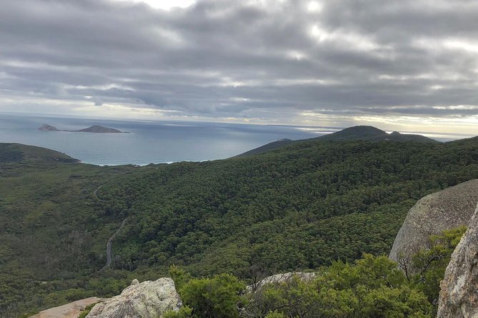 Wilsons Promontory Walking And Sightseeing Tour From Phillip Island - thumb 5