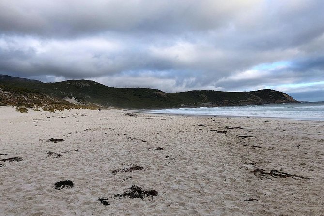 Wilsons Promontory Walking And Sightseeing Tour From Phillip Island - thumb 11