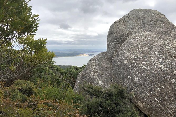 Wilsons Promontory Walking And Sightseeing Tour From Phillip Island - thumb 15