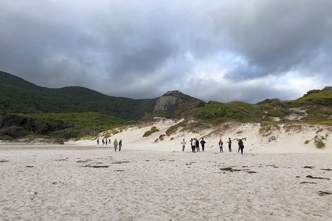 Wilsons Promontory Walking And Sightseeing Tour From Phillip Island - thumb 4