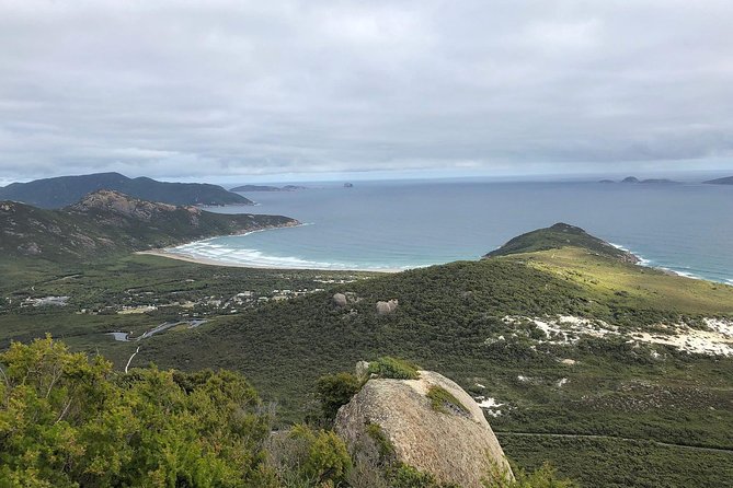 Wilsons Promontory Walking And Sightseeing Tour From Phillip Island - thumb 12
