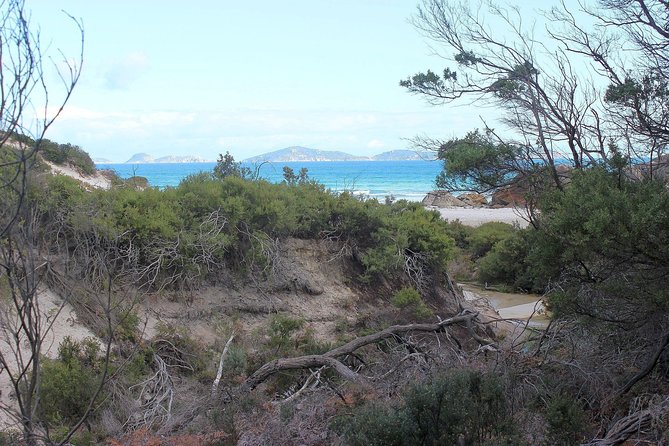 Wilsons Promontory Walking And Sightseeing Tour From Phillip Island - thumb 14