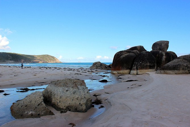 Wilsons Promontory Walking And Sightseeing Tour From Phillip Island - thumb 10