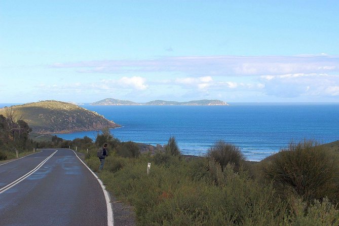 Wilsons Promontory Walking And Sightseeing Tour From Phillip Island - thumb 2