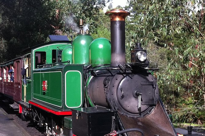 Private Tour: Healesville Sanctuary Wildlife & Puffing Billy Steam Train - thumb 1