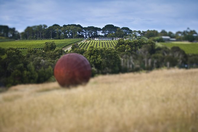 Estate to Plate Montalto Vineyard Gourmet Lunch and Wine-Tasting Tour - Accommodation Adelaide