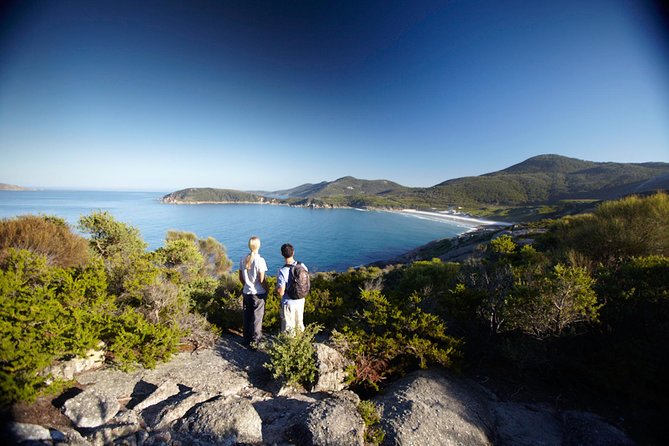 2-Day Phillip Island And Wilsons Promontory Tour From Melbourne - thumb 4
