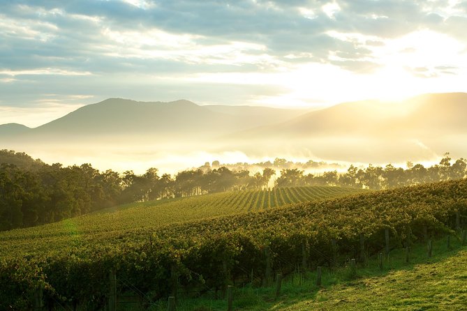 Yarra Valley Private Tour Including Healesville Sanctuary And Wineries - thumb 0