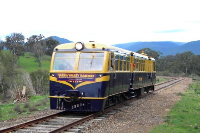 Steam Train, Yarra Valley & Healesville Wildlife Sanctuary Full Day Tour - thumb 0