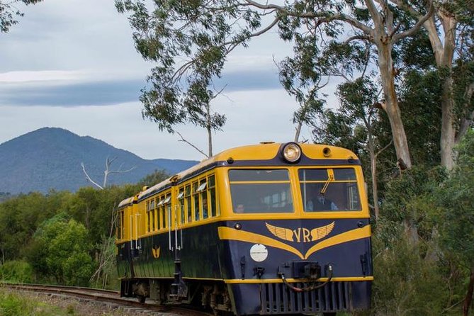 Steam Train, Yarra Valley & Healesville Wildlife Sanctuary Full Day Tour - thumb 3