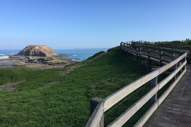 Day Tour Of Phillip Island, The Surrounding Region And Wine Tasting - thumb 11