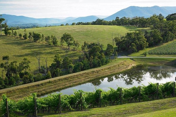 Yarra Valley Wine And Cider Tours By Classic Convertibles From Melbourne - thumb 14