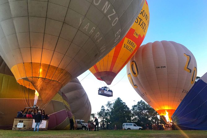 Melbourne Balloon Flight At Sunrise - thumb 44