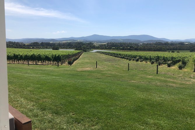 Yarra Valley, Dandenong Ranges Inc. Lunch With Wine,plus Morning Tea,chocolate - thumb 7
