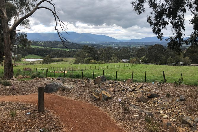 Yarra Valley Wine Tour Inc Lunch With A Glass Of Wine, Tastings And Chocolate - thumb 9