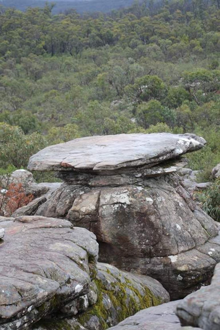 Grampians National Park Small-Group Eco Tour From Melbourne - thumb 12