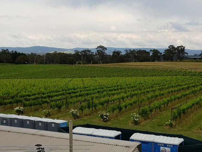 Yarra Valley Wineries And Puffing Billy Steam Train Tour From Melbourne - thumb 4