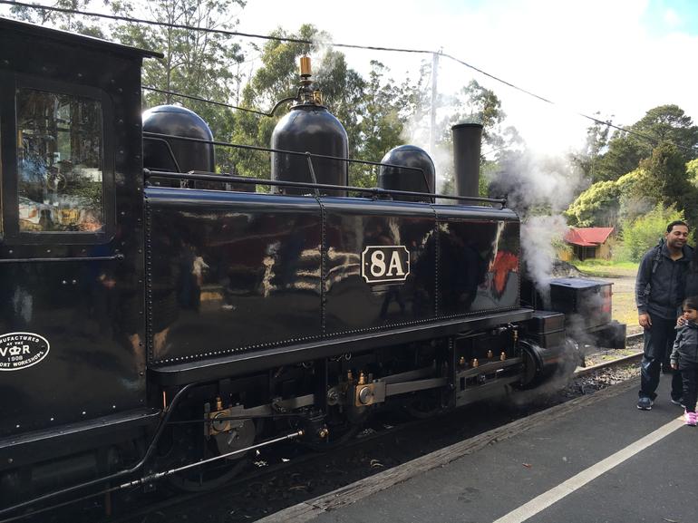 Yarra Valley Wineries And Puffing Billy Steam Train Tour From Melbourne - thumb 13