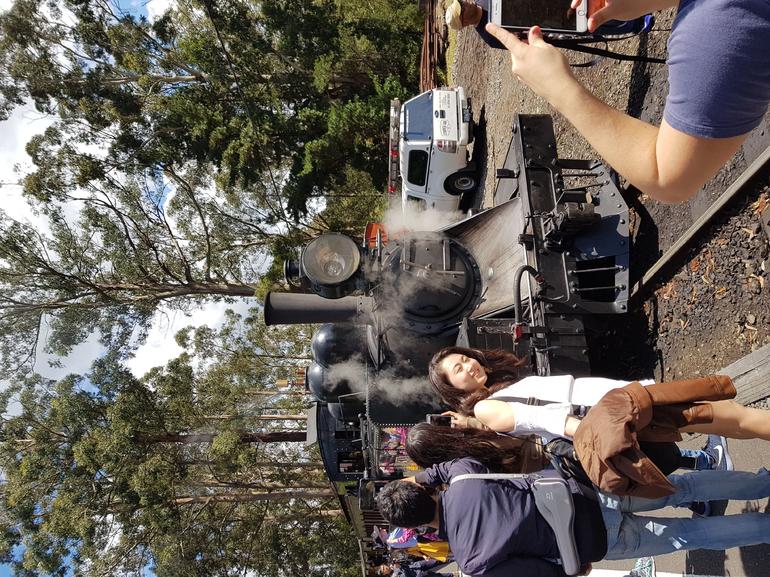Yarra Valley Wineries And Puffing Billy Steam Train Tour From Melbourne - thumb 5