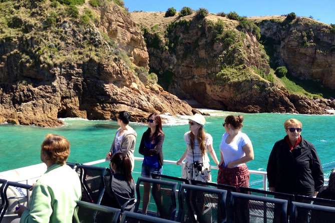 Cape Woolamai Sightseeing Cruise From San Remo - thumb 1