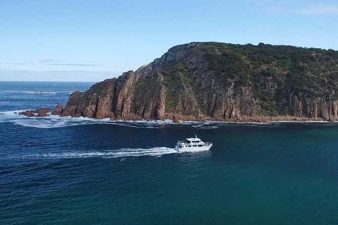 Cape Woolamai Sightseeing Cruise From San Remo - thumb 2