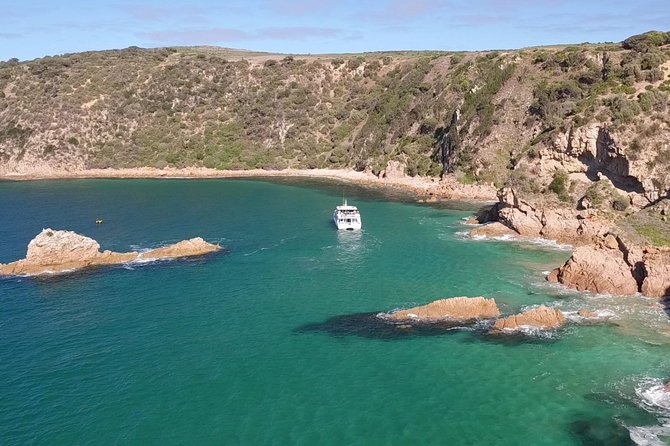 Cape Woolamai Sightseeing Cruise From San Remo - thumb 6