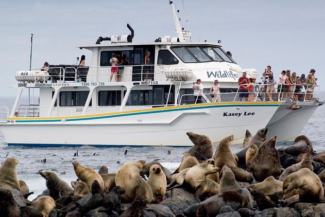 Phillip Island Seal-Watching Cruise - Attractions 0