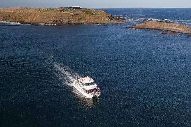 Phillip Island Seal-Watching Cruise - Attractions 6