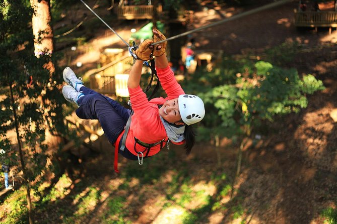Tree Ropes And Zipline Experience In The Dandenong Ranges - Attractions 0