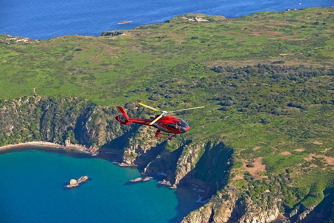 Private Phillip Island Tour With One-Way Helicopter Transfer - thumb 0