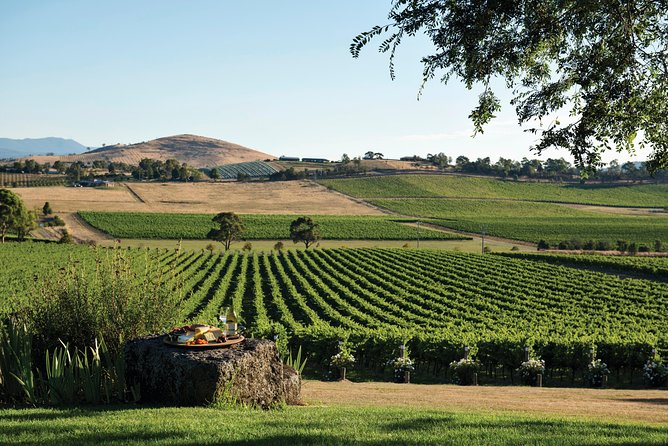 The Ultimate Yarra Valley Food And Wine Small Group Tour (Max 6 Guests) - thumb 25