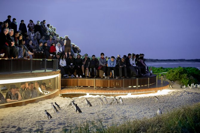 Phillip Island Penguin Parade, Brighton Bathing Boxes And Wildlife Park Tour - thumb 8