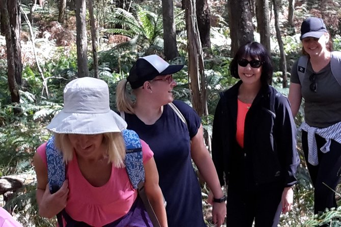 GPS Guided Walks In The Daylesford Forest - thumb 1